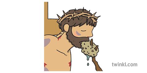 Jesus Drinking from Sponge Illustration - Twinkl