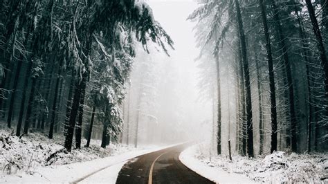 Download wallpaper 1920x1080 road, fog, winter, trees, turn, asphalt ...