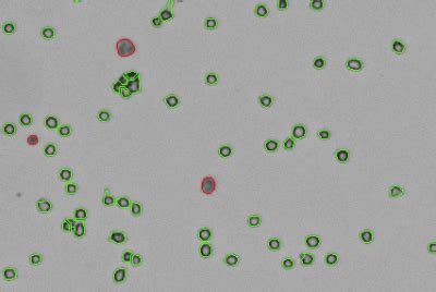 Cellaca MX High-throughput Cell Counter | Revvity