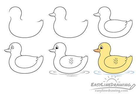 Image result for Drawing a Duck Step by Step