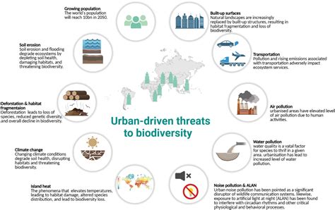 Frontiers | Urbanization and habitat loss: an overview of rapidly growing cities in Saudi Arabia
