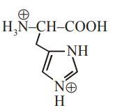 The correct structure of histidine in a strongly acidic solution (pH=2) is