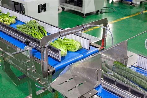 Image result for Vegetable Packing Machine