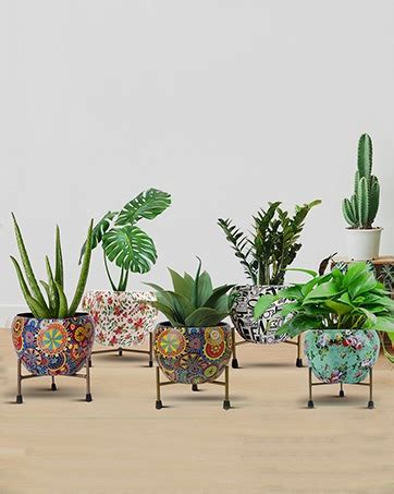 CINAGRO - Drip Irrigation 16mm Diameter Main Supply Line Pipe -50 ...