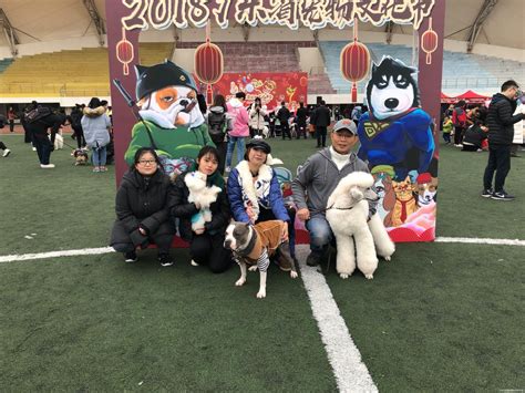 2018广东省宠物文化节！