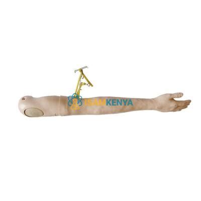 Image result for IV Training Arm Model