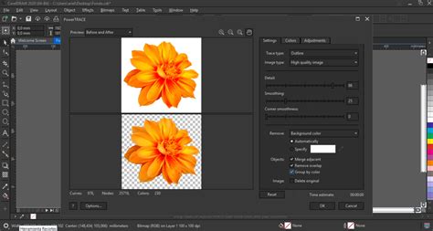 Image result for Remove Background in Corel