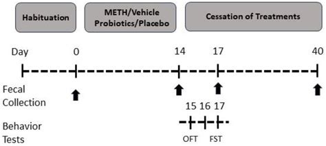 Probiotics Alter the Microbial and Behavioral Consequences of ...
