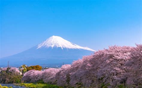 Asia Cool Places 的图像结果