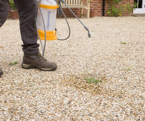 How to make weed killer: a quick, simple homemade solution | Homes and ...