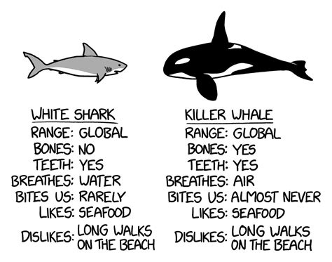 Killer Whales Attack Sharks