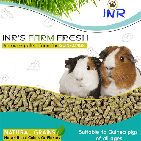INR'S Farm Fresh Premium Guinea Pig Pellets food – Aquarium Products India