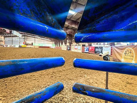 Roping Competition 的图像结果