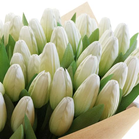 Flower Set 31 - White Tulips Bouquet 3D model | CGTrader