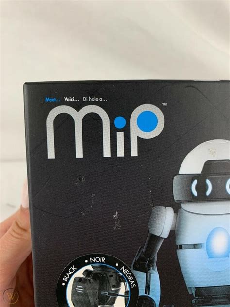 MIP Balancing Robot 的图像结果