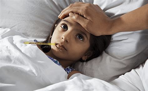 Stay Protected From Dengue