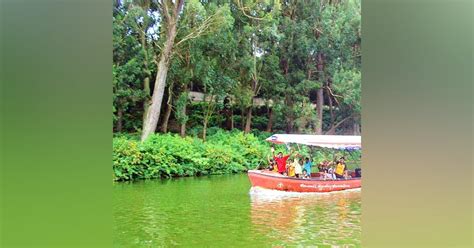 Aarey Milk Colony, Goregaon | LBB