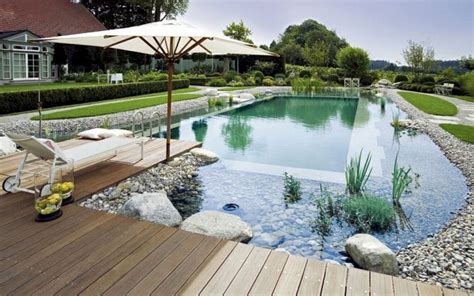 Diy Natural Pool Filter at Zoe Emma blog