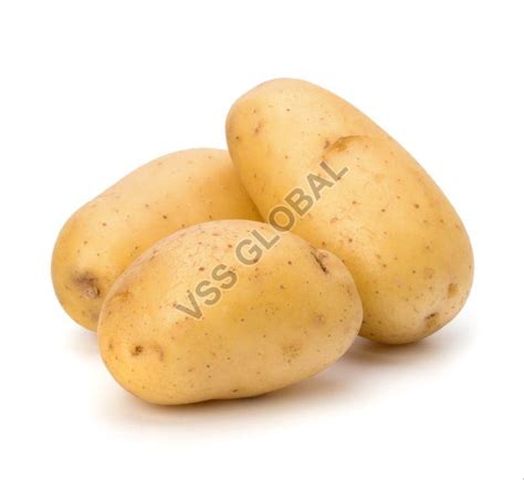 Chipsona Potato Exporter from Banaskantha