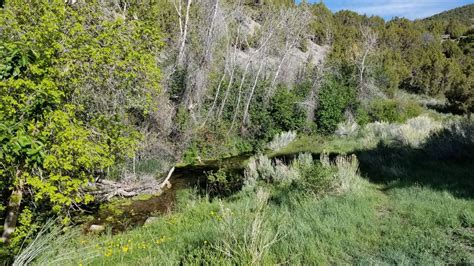 Clover Spring Campground Utah: Camping, Hiking & Fishing