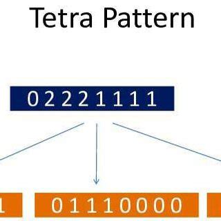 Image result for Decoding Tetra