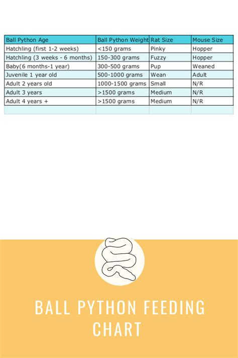 Children's Python Feeding 的图像结果