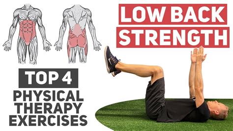 Image result for Lower Back Strength Exercises