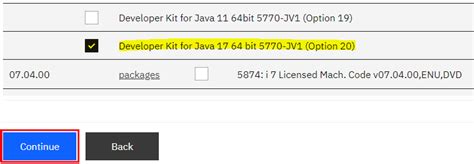 Image result for IBM Java Required Version