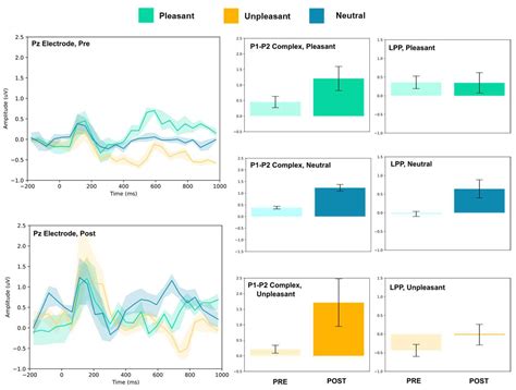 Brief Myofascial Intervention Modulates Visual Event-Related Potential ...