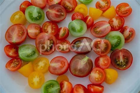 Image result for Spotted Python Colors