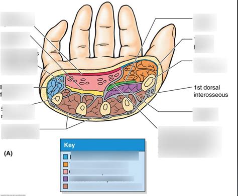 Image result for Hand Labeling
