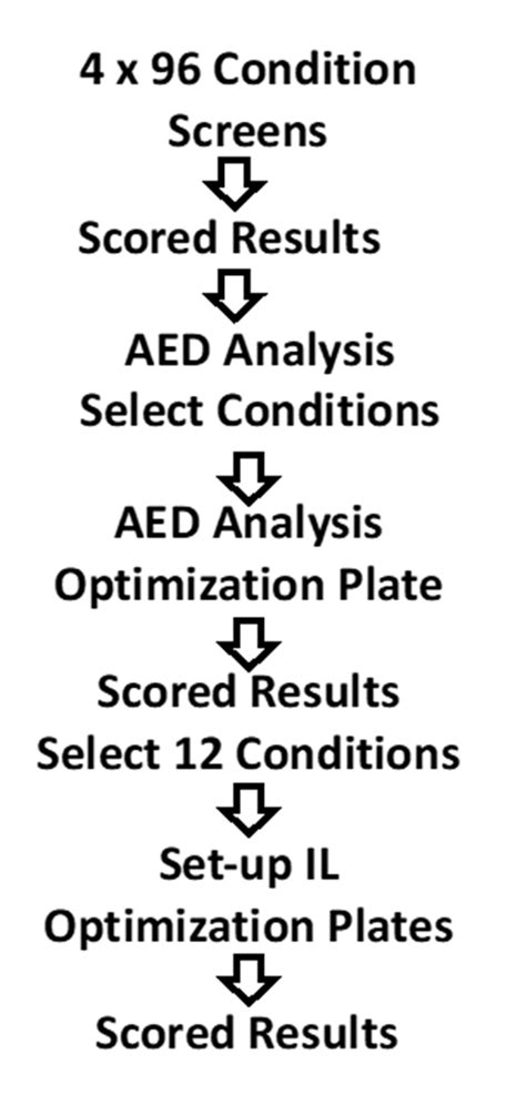 Image result for Protein Crystallization Screening