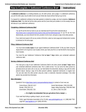 Settlement Conference Brief (Family Law) - Blank Fillable Template ...