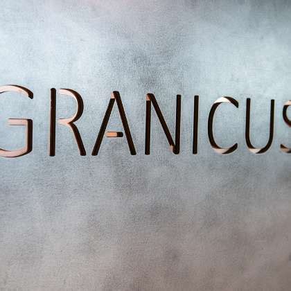Granicus office photos