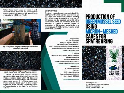 Production of green mussel seed using micron-meshed cages for spat ...