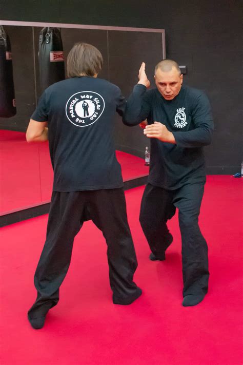 Image result for Silat Boxing