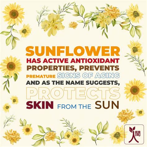 Buy NINGEN SUNFLOWER DE-TAN SCRUB, GRAPESEED, MULBERRY & WALNUT - 100G ...