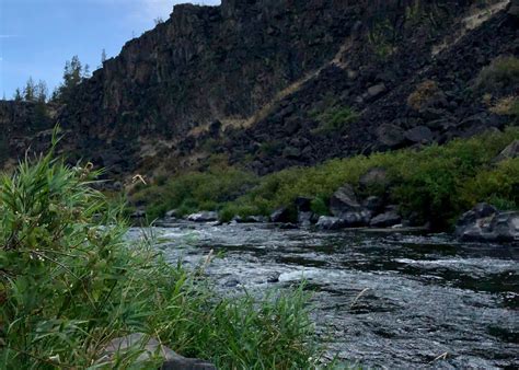 Steelhead Falls Trailhead & Campground Camping | The Dyrt