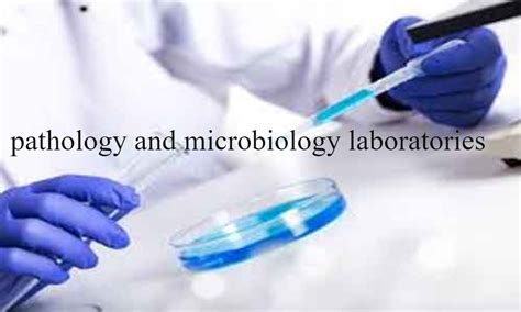 Maha Govt forms fresh panel including doctors, paramedics, others to ...