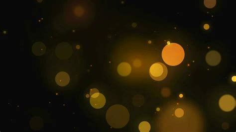 Image result for Particle Video Download