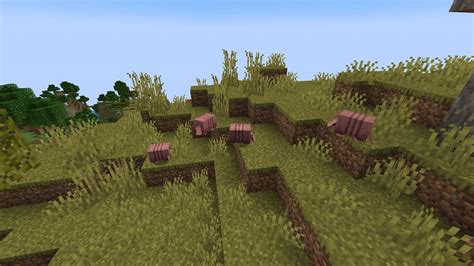Image result for Armadillo Farm for Exp Java