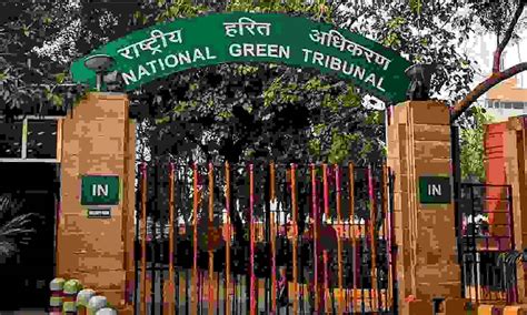 NGT levies Rs 25 lakh fine on Tantransco for erecting transmission ...