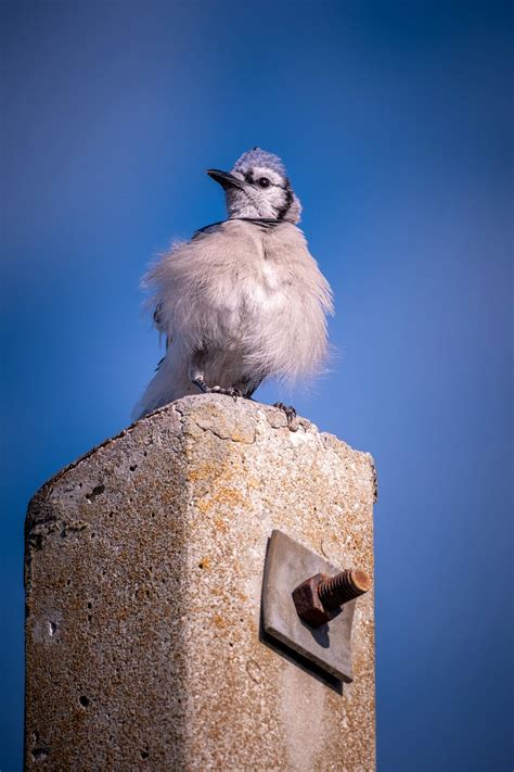 Tuff+Discord+Profile+Pictures Photos, Download The BEST Free Tuff+Discord+Profile+Pictures Stock ...