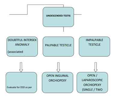 Standard Treatment Guidelines for Undescended testis in children