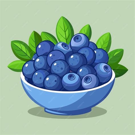 Blueberries clip art and vector design with a white background ...
