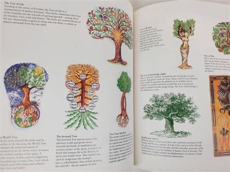 The Secret Language Of Symbols A Visual Key To | Ubuy India
