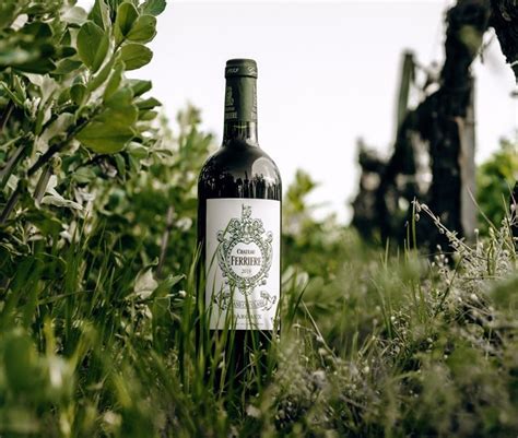 Two Cru Classé-Châteaux join "Bordeaux Pirates" | wein.plus Wine News