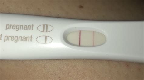 Prueba De Embarazo Positiva