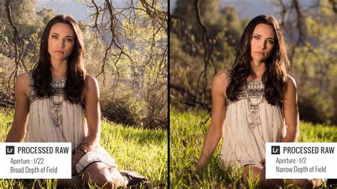 Image result for How Does Photography Work