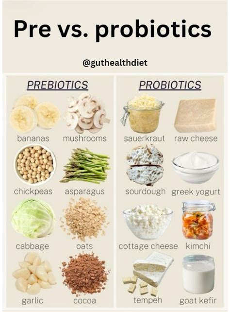 Best 13 Prebiotics vs. Probiotics: How These Foods & Supplements Work Together – Artofit